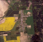 Ortofotomapa - Borová - 2006